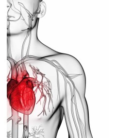 Formation professionnel de la santé cardio training adapté